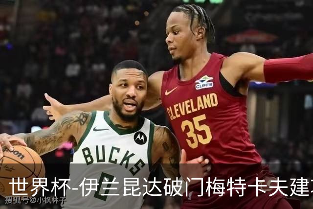 世界杯-伊兰昆达破门梅特卡夫建功 澳大利亚2-0土耳其